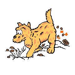 moving clipart of a dog
