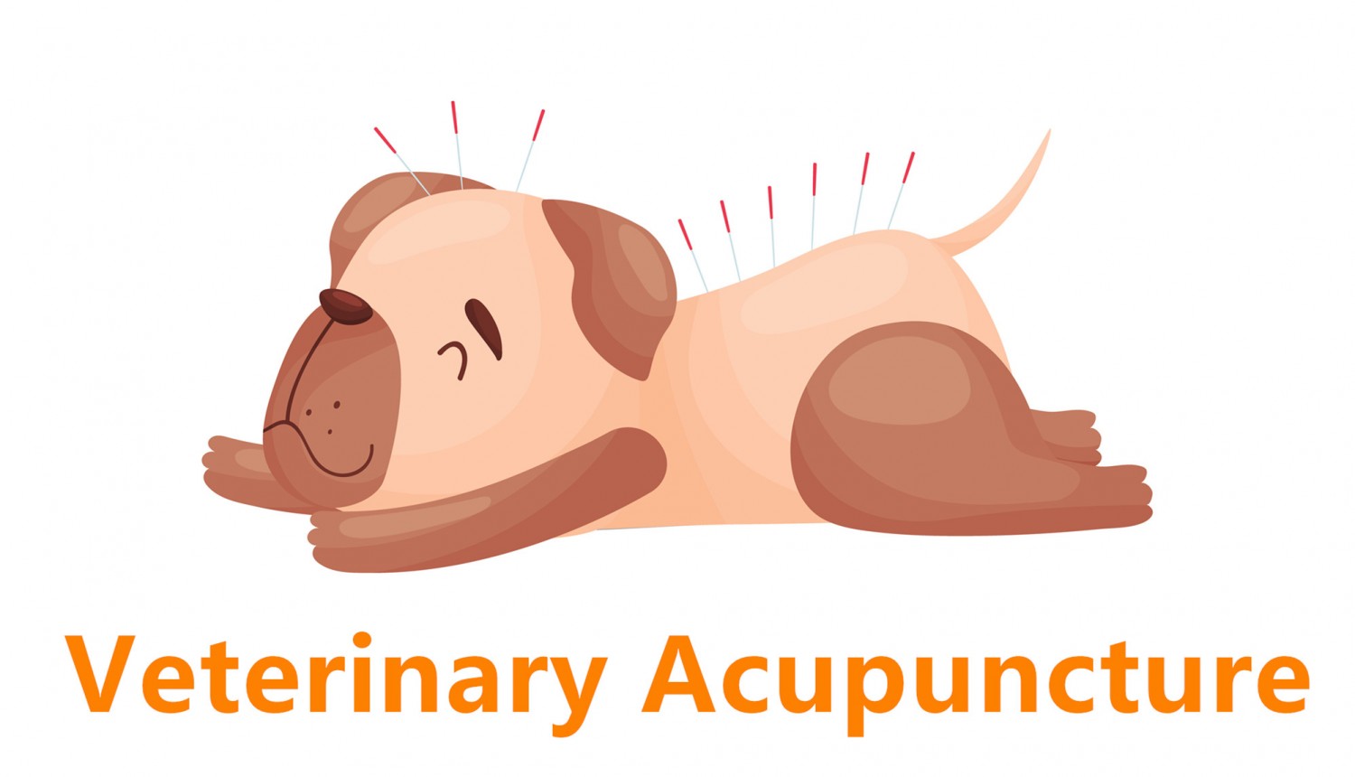 clipart of dog undergoing acupuncture